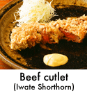 Beef cutlet